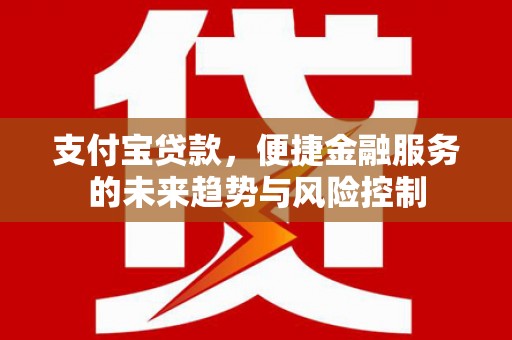 沂南支付宝贷款，便捷金融服务的未来趋势与风险控制