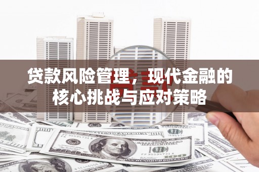 沂南贷款风险管理，现代金融的核心挑战与应对策略