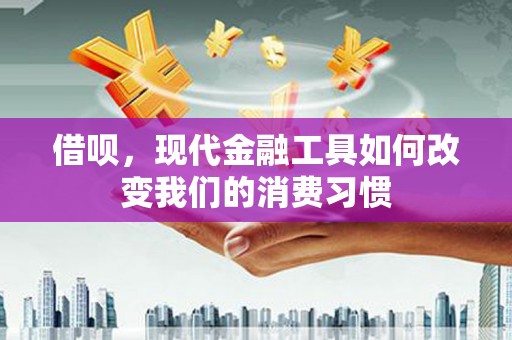沂南借呗，现代金融工具如何改变我们的消费习惯