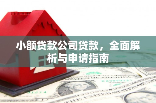 沂南小额贷款公司贷款，全面解析与申请指南