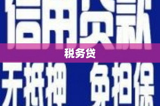 沂南税务贷
