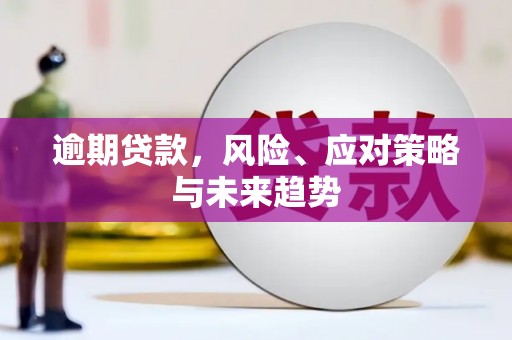 沂南逾期贷款，风险、应对策略与未来趋势