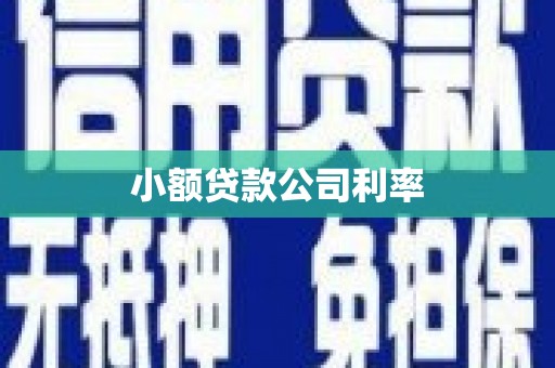 沂南小额贷款公司利率
