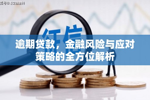 沂南逾期贷款，金融风险与应对策略的全方位解析