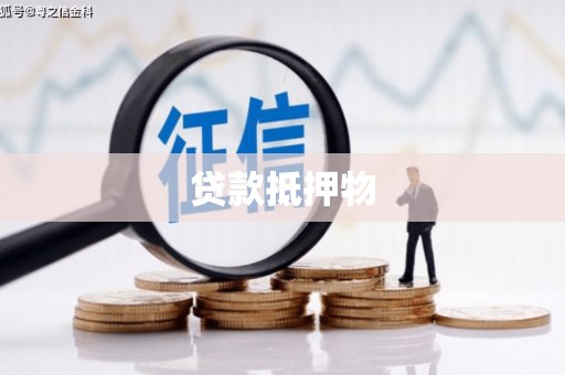 沂南贷款抵押物