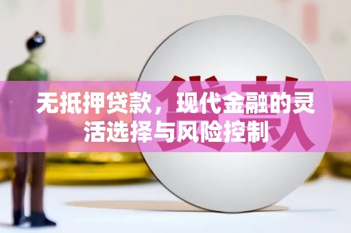 沂南无抵押贷款，现代金融的灵活选择与风险控制