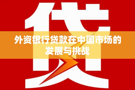 沂南外资银行贷款在中国市场的发展与挑战