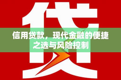 沂南信用贷款，现代金融的便捷之选与风险控制