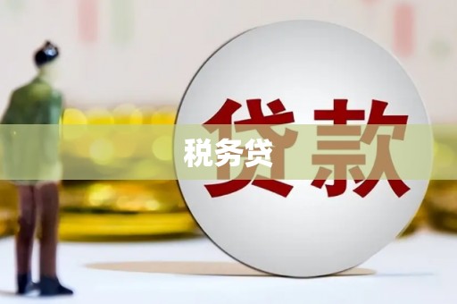 沂南税务贷