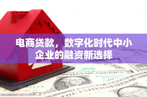 沂南电商贷款，数字化时代中小企业的融资新选择