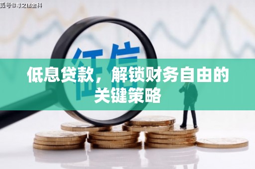 沂南低息贷款，解锁财务自由的关键策略