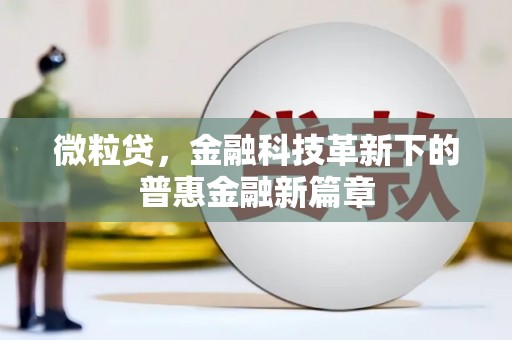 沂南微粒贷，金融科技革新下的普惠金融新篇章