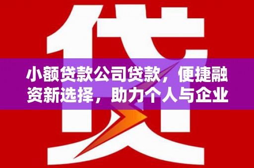 沂南小额贷款公司贷款，便捷融资新选择，助力个人与企业成长