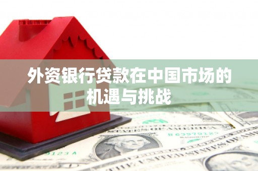 沂南外资银行贷款在中国市场的机遇与挑战
