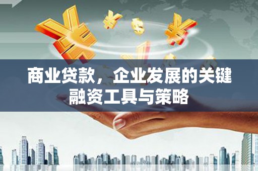 沂南商业贷款，企业发展的关键融资工具与策略