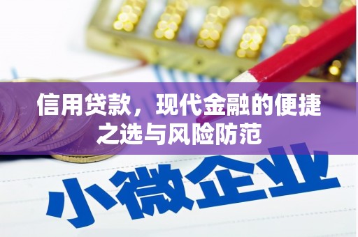 沂南信用贷款，现代金融的便捷之选与风险防范