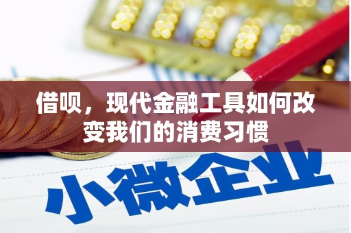 沂南借呗，现代金融工具如何改变我们的消费习惯