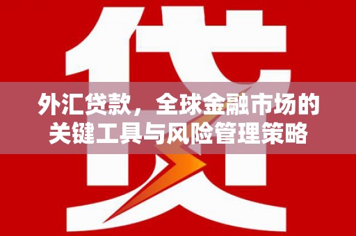沂南外汇贷款，全球金融市场的关键工具与风险管理策略