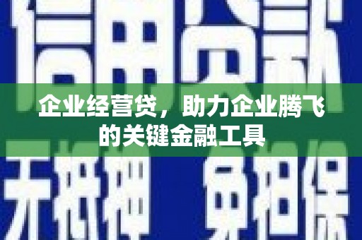 沂南企业经营贷，助力企业腾飞的关键金融工具