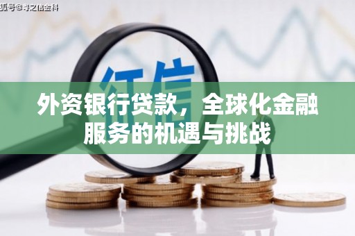 沂南外资银行贷款，全球化金融服务的机遇与挑战