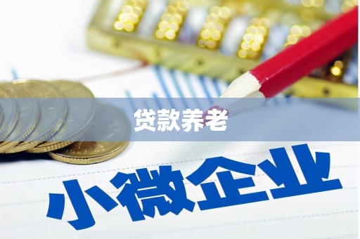 沂南贷款养老