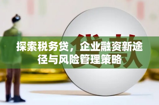 沂南探索税务贷，企业融资新途径与风险管理策略