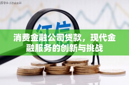 沂南消费金融公司贷款，现代金融服务的创新与挑战