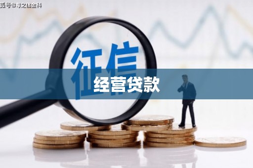 沂南经营贷款