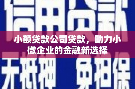 沂南小额贷款公司贷款，助力小微企业的金融新选择