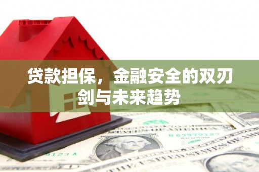 沂南贷款担保，金融安全的双刃剑与未来趋势