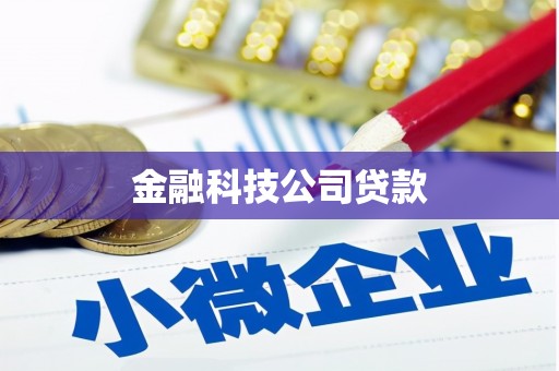 沂南金融科技公司贷款