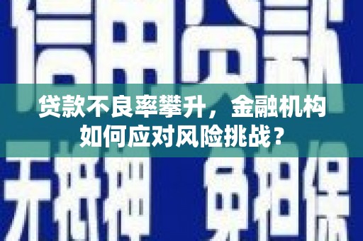 沂南贷款不良率攀升，金融机构如何应对风险挑战？