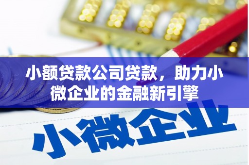 沂南小额贷款公司贷款，助力小微企业的金融新引擎
