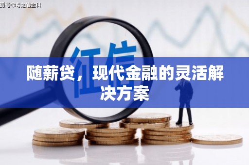沂南随薪贷，现代金融的灵活解决方案