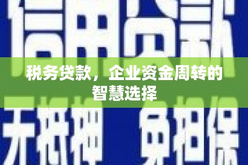 沂南税务贷款，企业资金周转的智慧选择