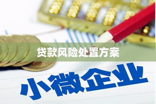 沂南贷款风险处置方案