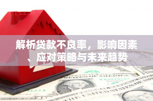 沂南解析贷款不良率，影响因素、应对策略与未来趋势