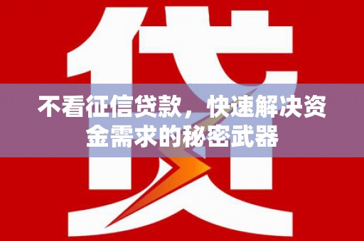 沂南不看征信贷款，快速解决资金需求的秘密武器