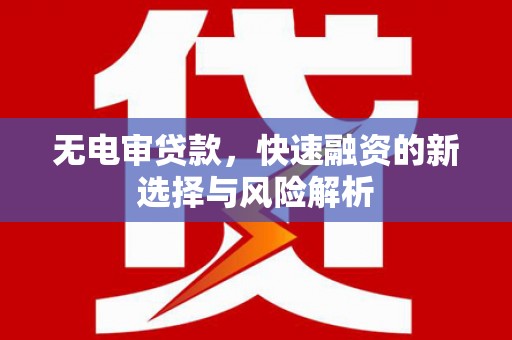 沂南无电审贷款，快速融资的新选择与风险解析