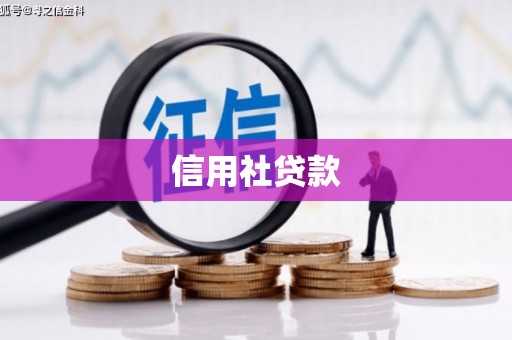沂南信用社贷款