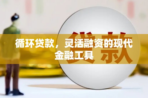 沂南循环贷款，灵活融资的现代金融工具