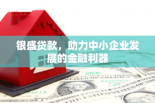 沂南银盛贷款，助力中小企业发展的金融利器
