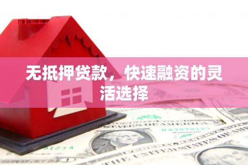 沂南无抵押贷款，快速融资的灵活选择