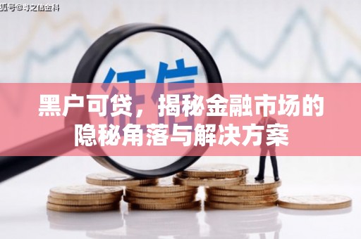 沂南黑户可贷，揭秘金融市场的隐秘角落与解决方案