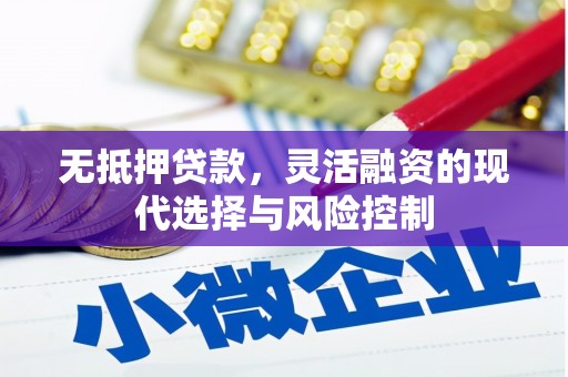 沂南无抵押贷款，灵活融资的现代选择与风险控制
