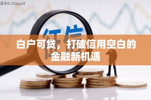 沂南白户可贷，打破信用空白的金融新机遇