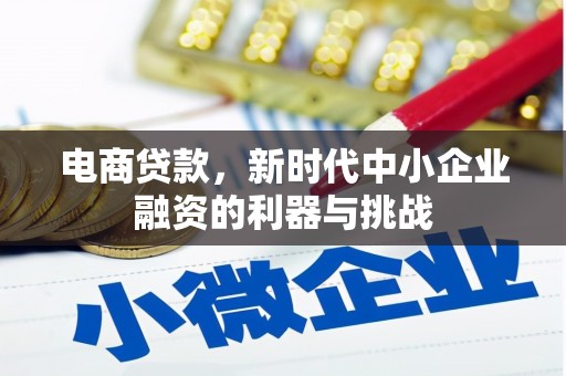 沂南电商贷款，新时代中小企业融资的利器与挑战