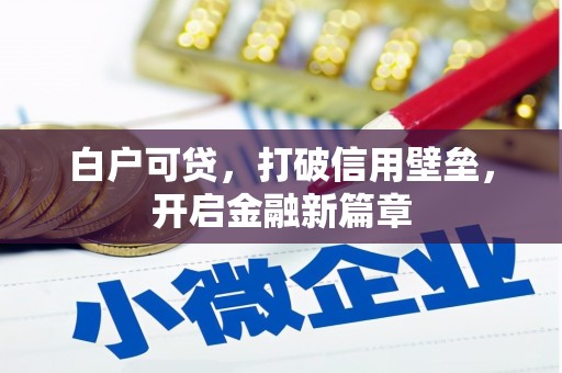 沂南白户可贷，打破信用壁垒，开启金融新篇章