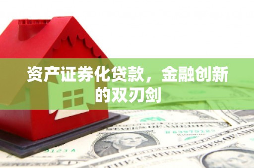 沂南资产证券化贷款，金融创新的双刃剑