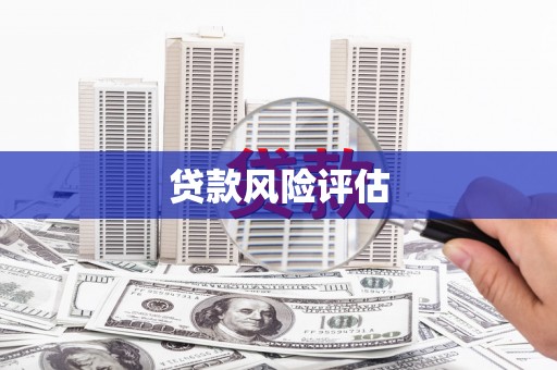 沂南贷款风险评估